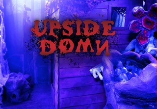 Upside Down - Image 119